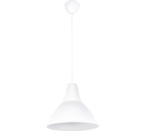 Подвесной светильник Мелодия Света 2521-1P WT 000039515