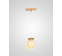 Подвесной светильник Мелодия Света 6426-1P NL 000039505