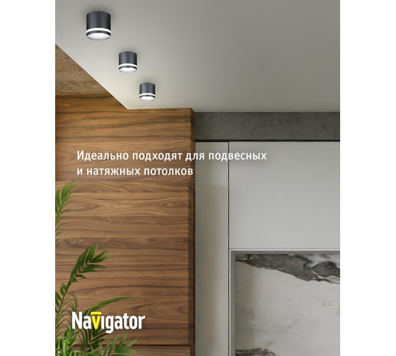 Светильник Navigator 93 373 ngx-c-003-02 93373