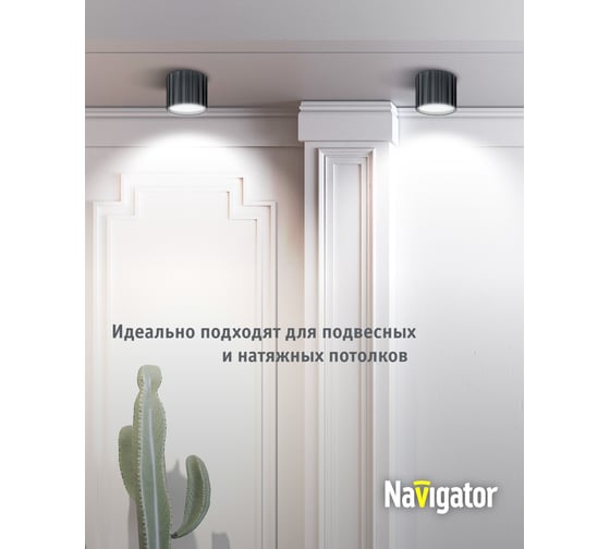 Светильник Navigator 93 386 ngx-c-007-02 93386
