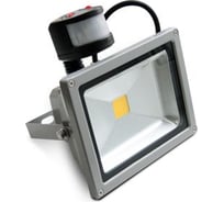 Прожектор светодиодный X-flash ZY-FL-20W-PIR 44221