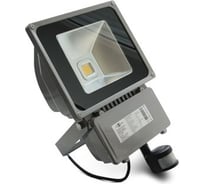 Светодиодный прожектор X-flash ZY-FL-80W-PIR 44269