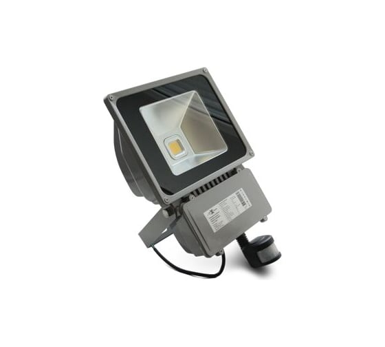 Светодиодный прожектор X-flash ZY-FL-80W-PIR 44269