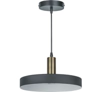 Подвесной светильник Navigator 80 422 nlf-p-035-01 черный золото 80422