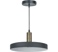 Подвесной светильник Navigator 80 423 nlf-p-035-02 черный золото 80423
