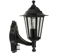 Улично-садовый светильник SOUTHAMPTON duwi 25591 8, черный