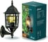 Настенное бра вверх PARK FAMILY duwi 24124 9, черный с золотом 2