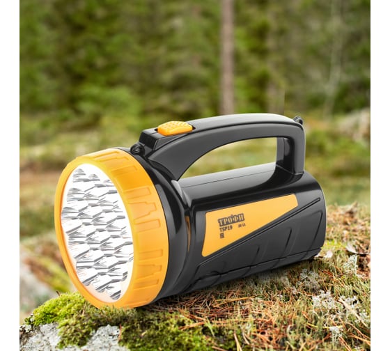 Фонарь ТРОФИ TSP19 C0045552 - выгодная цена на светодиодный прожектор ...