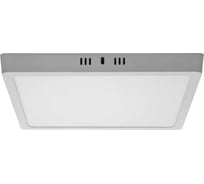 Светильник ОНЛАЙТ 90 159 olp-sw1-24w-4k-wh-led(293x293) 90159