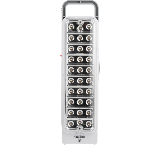 Аккумуляторный фонарь ТРОФИ TL30 30xLED Б0002595