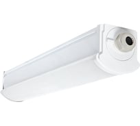 Светодиодный пылевлагозащищенный светильник ДСП-2001 18Вт 4000К IP66 600мм PROxima EKF TPL-2001-18-4000