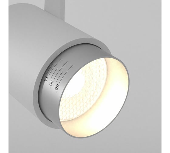 Потолочный светодиодный однофазный светильник Elektrostandard Cors 10W 4200K (85513/01) серебро a062390