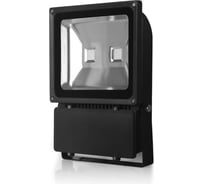Светодиодный прожектор X-flash XF-FL-B-100W-6500K 45280