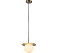 Подвесной светильник F-promo roshni 3050-1P