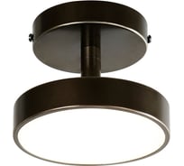 Потолочный светильник F-promo atma 3060-1P