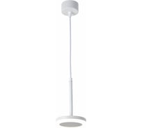 Подвесной светильник FAVOURITE sarkal 3078-1P