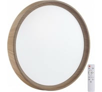 Настенно-потолочный светильник СОНЕКС LED 48W WOODI 7603_DL