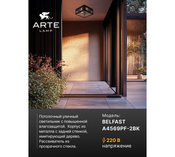 Уличный потолочный светильник ARTE LAMP BELFAST A4569PF-2BK