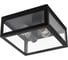 Уличный потолочный светильник ARTE LAMP BELFAST A4569PF-2BK 1