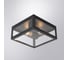 Уличный потолочный светильник ARTE LAMP BELFAST A4569PF-2BK 2