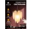 Подвесной светильник ARTE LAMP EVIE A4052SP-1SG 2