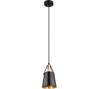 Подвесной светильник ARTE LAMP THOMAS A7032SP-1BK