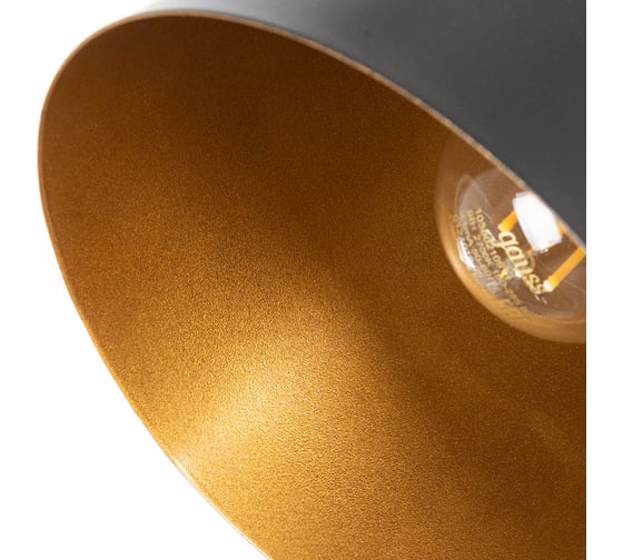 Подвесной светильник ARTE LAMP THOMAS A7032SP-1BK
