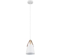 Подвесной светильник ARTE LAMP THOMAS A7032SP-1WH