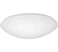 Светодиодный настенно-потолочный светильник Glanzen RPD-0018-250-CIRCLE 18Вт 6000К КА-00008179