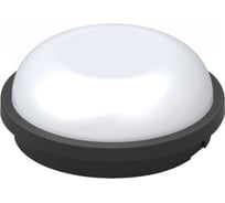 Светодиодный светильник Mutlusan Ledlight-1 черный 016 038 701111