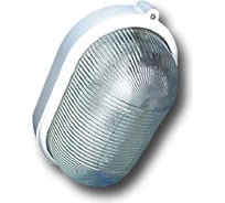 Светильник влагозащищенный Ватра НББ 64-100-020 Селена-31 77701797