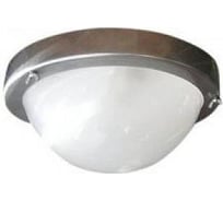 Светильник НББ-03-100-001 Терма 1 IP65 серебро ЭЛЕТЕХ 1005500573