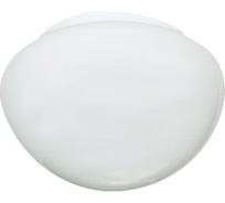 Светильник ЭЛЕТЕХ Полусфера НПО 22-100-230 1005150536