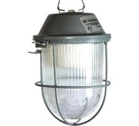 Влагозащищенный светильник ДСП 01-09-002 Желудь LED ЭЛЕТЕХ 1030450043 258731