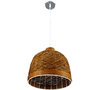 Бытовой потолочный светильник APEYRON 136-51brown