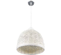 Бытовой потолочный светильник APEYRON 136-51white
