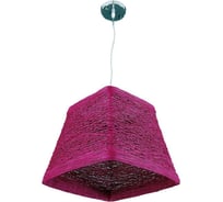 Бытовой потолочный светильник APEYRON 136-57purple