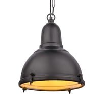 Потолочный светильник Covali PL-30135