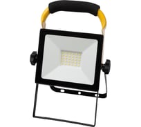 Светодиодный прожектор TDM ELECTRIC сдо-04-030н-п (переносной) 30 вт, 6500 к, ip65, черный, народный SQ0336-0200