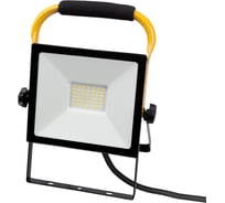 Светодиодный прожектор TDM ELECTRIC сдо-04-050н-п (переносной) 50 вт, 6500 к, ip65, черный, народный SQ0336-0201