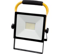 Светодиодный прожектор TDM ELECTRIC сдо-04-050н-п (переносной) 50 вт, 6500 к, ip65, черный, народный SQ0336-0201