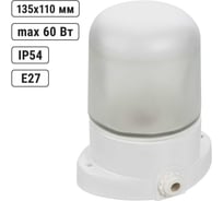 Настенно-потолочный светильник TDM ELECTRIC НПБ400, для сауны, белый, SQ0303-0048