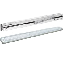Люминесцентный светильник TDM ЛСП3902С SQ0304-0029