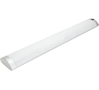 Люминесцентный светильник TDM ELECTRIC ЛПБ2010 SQ0305-0026