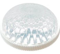 Светильник TDM НПО 100 Радуга белый 1х15 Вт Е27 КЛЛ SQ0328-0001