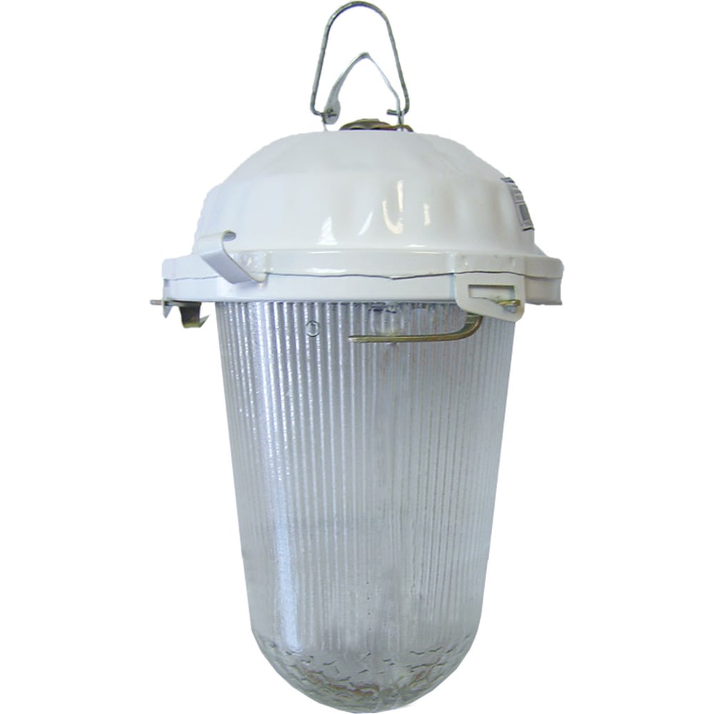 Светильник TDM НСП 02-200-021.01 У2 SQ0310-0003 - выгодная цена, отзывы ...