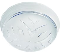 Светильник TDM ELECTRIC НПО 106 Плутон серебро 1х40 Вт Е27 SQ0328-0030