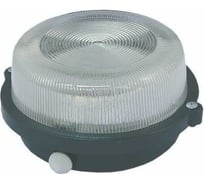 Светильник TDM ELECTRIC НПП 03-100-005.03 У3 SQ0311-0004