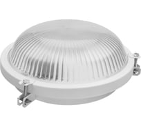 Светильник TDM ELECTRIC НПП 03-100-020.01 У3 Рыбий глаз SQ0311-0006