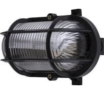 Светильник TDM ELECTRIC НБП 02-60-004.03У Евро черный SQ0312-0002